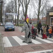 CROW, Verkenning-Zebrapaden